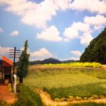 鉄道模型